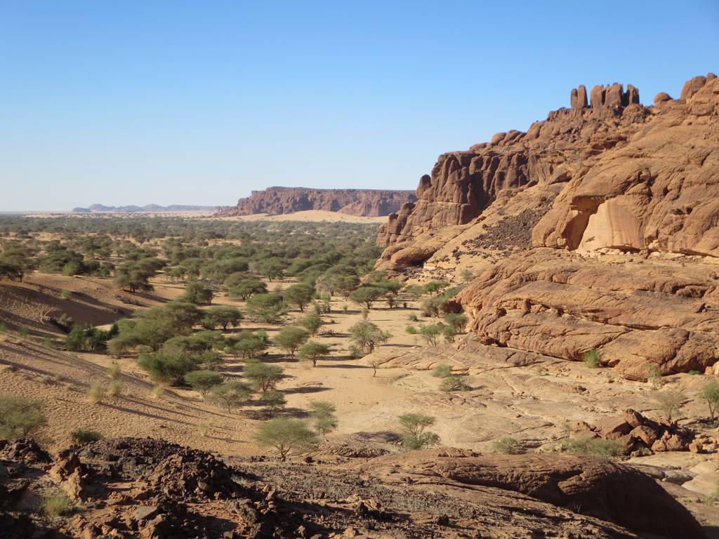 Ακακίες σε τοπίο του Σαχέλ στο Τσαντ