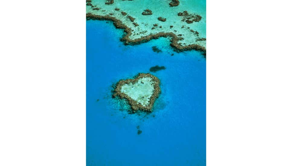 Heart Reef, Αυστραλία