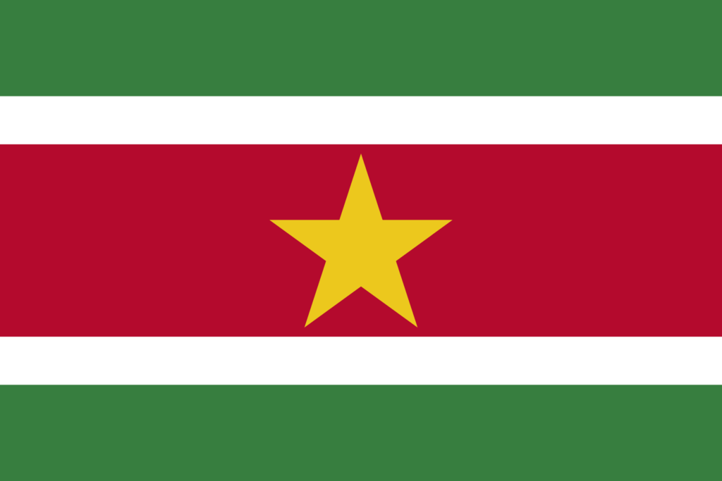 Σημαία Σουρινάμ​