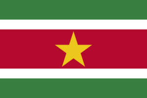 Σημαία Σουρινάμ​