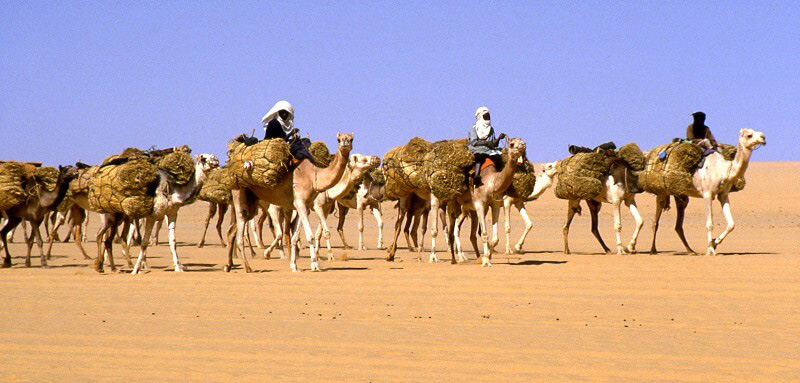 Καραβάνι που μεταφέρει αλάτι στη Σαχάρα (πηγή: Wikimedia Commons)