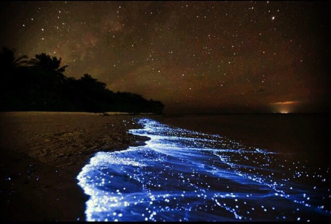 Η Θάλασσα των Αστεριών στις Μαλδίβες