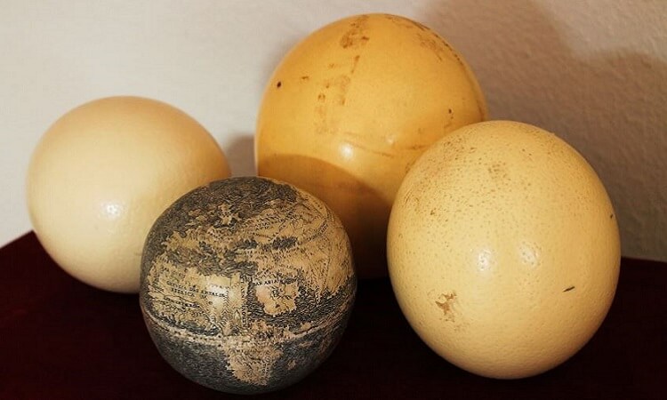 Η υδρόγειος σφαίρα σε σύγκριση με αυγά στρουθοκαμήλου (blogtuan.info)