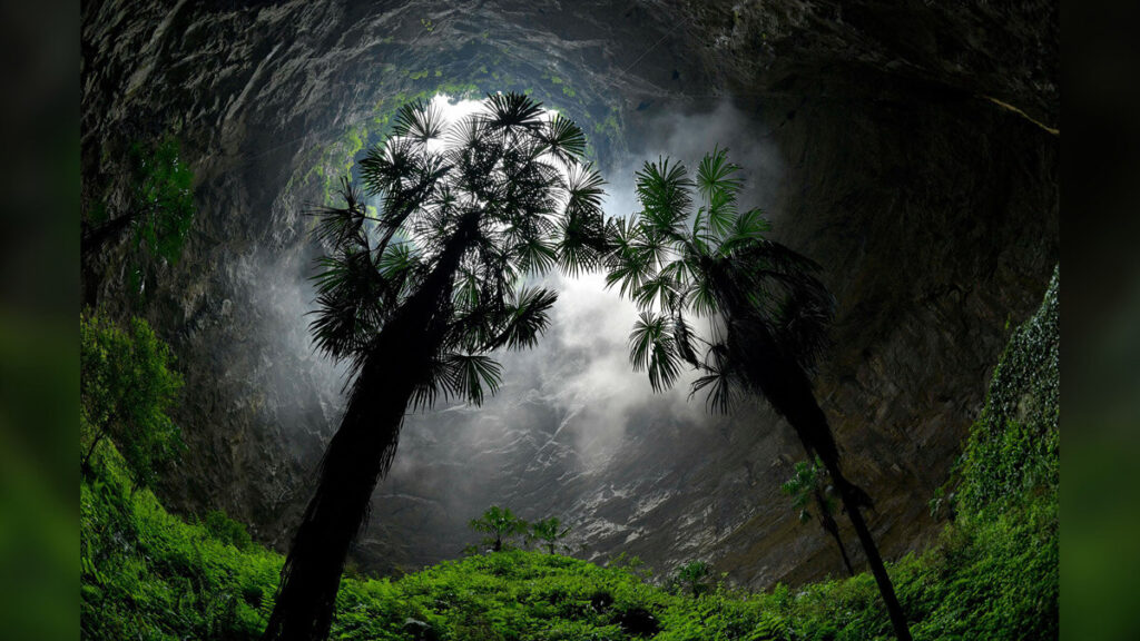 Η υπόγεια βλάστηση σε διαφορετική δολίνη της επαρχίας Χουμπέι στην Κίνα (Song Weng/Xinhua)