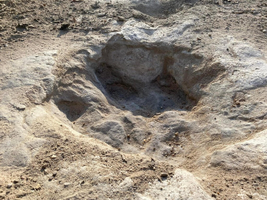 Ένα από τα ίχνη που αποκαλύφθηκαν (πηγή: Dinosaur Valley State Park Facebook)