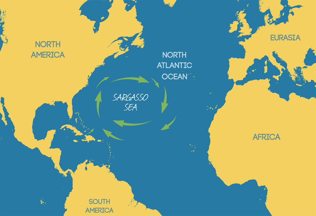 Η Θάλασσα των Σαργασσών, η μόνη θάλασσα στη Γη χωρίς ακτές
