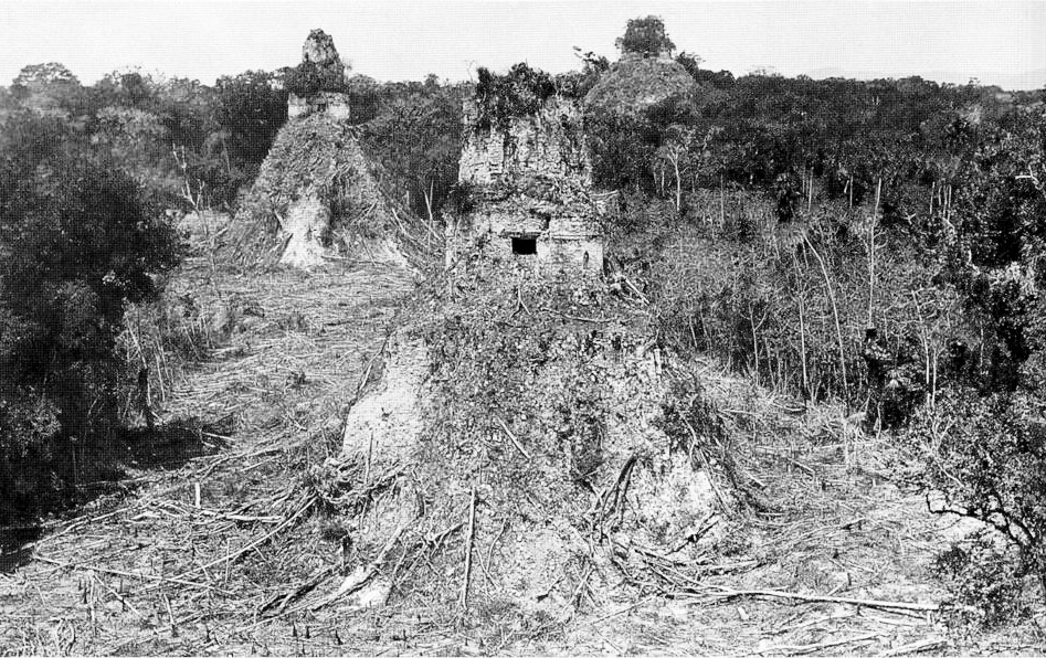 Η Tikal, η μεγαλύτερη πόλη των Μάγια, βρισκόταν στη σημερινή Γουατεμάλα. Φωτογραφία του 1882.