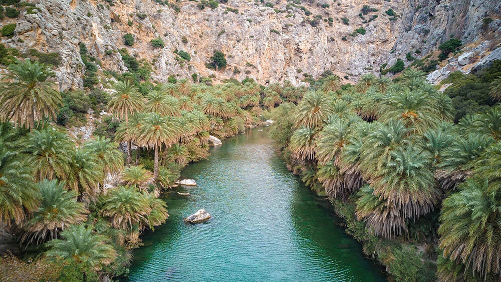 Το Φοινικόδασος της Πρέβελης
