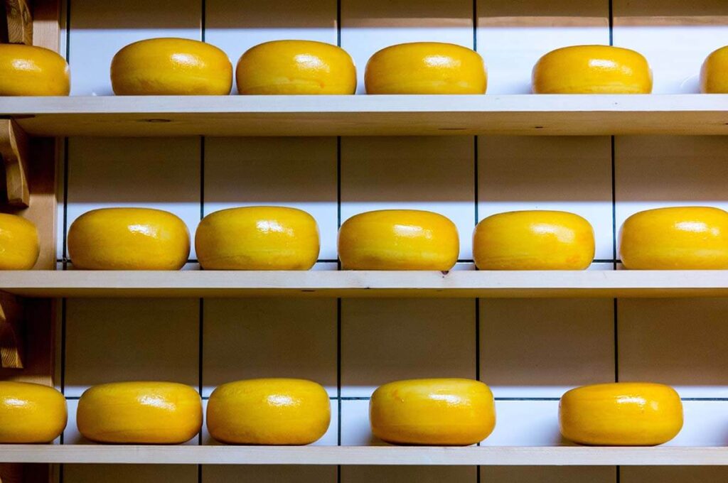 ολλανδικά τυριά
