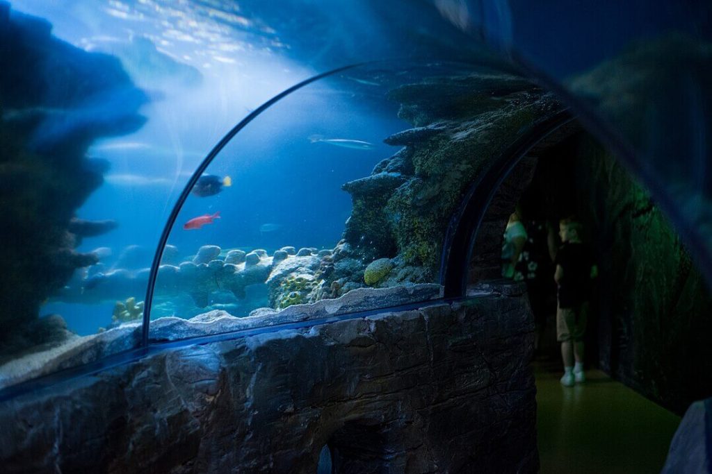 Υποβρύχια σήραγγα στο Ενυδρείο SEA Life