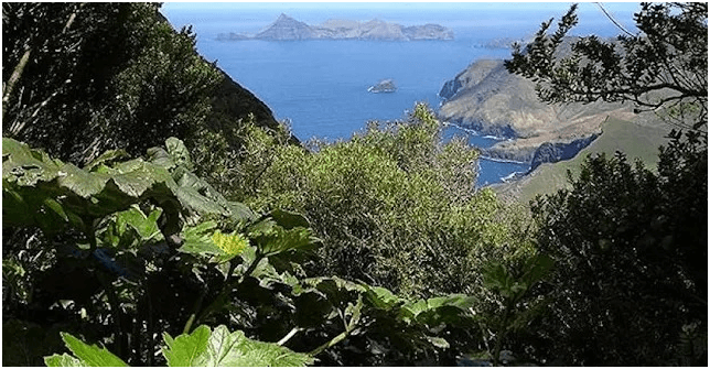 Άποψη της πρωτεύουσας San Juan Bautista στο νησί Robinson Crusoe. Στο βάθος η Santa Clara.
