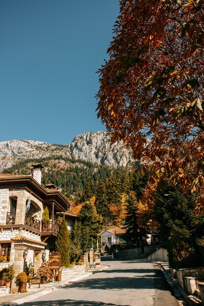 Ελάτη Τρίκαλα