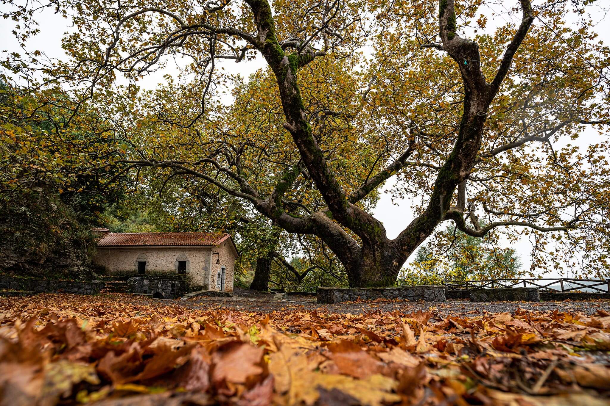 5 φθινοπωρινοί προορισμοί κοντά στην Αθήνα για ένα υπέροχο Σαββατοκύριακο